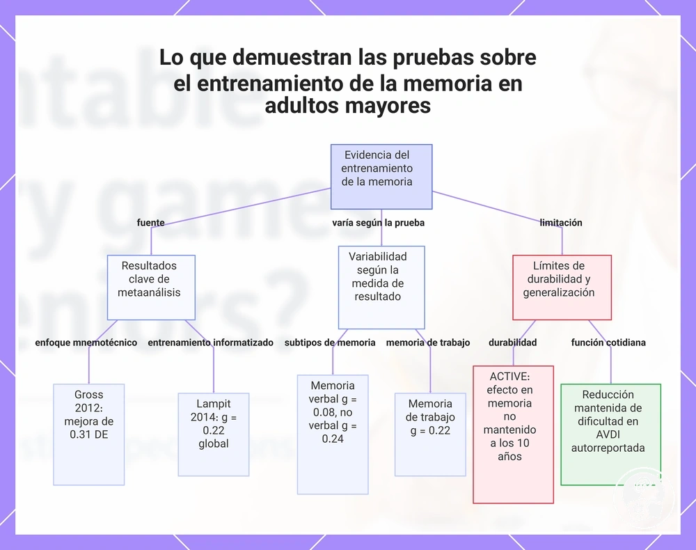 Lo que demuestran las pruebas sobre el entrenamiento de la memoria en adultos mayores