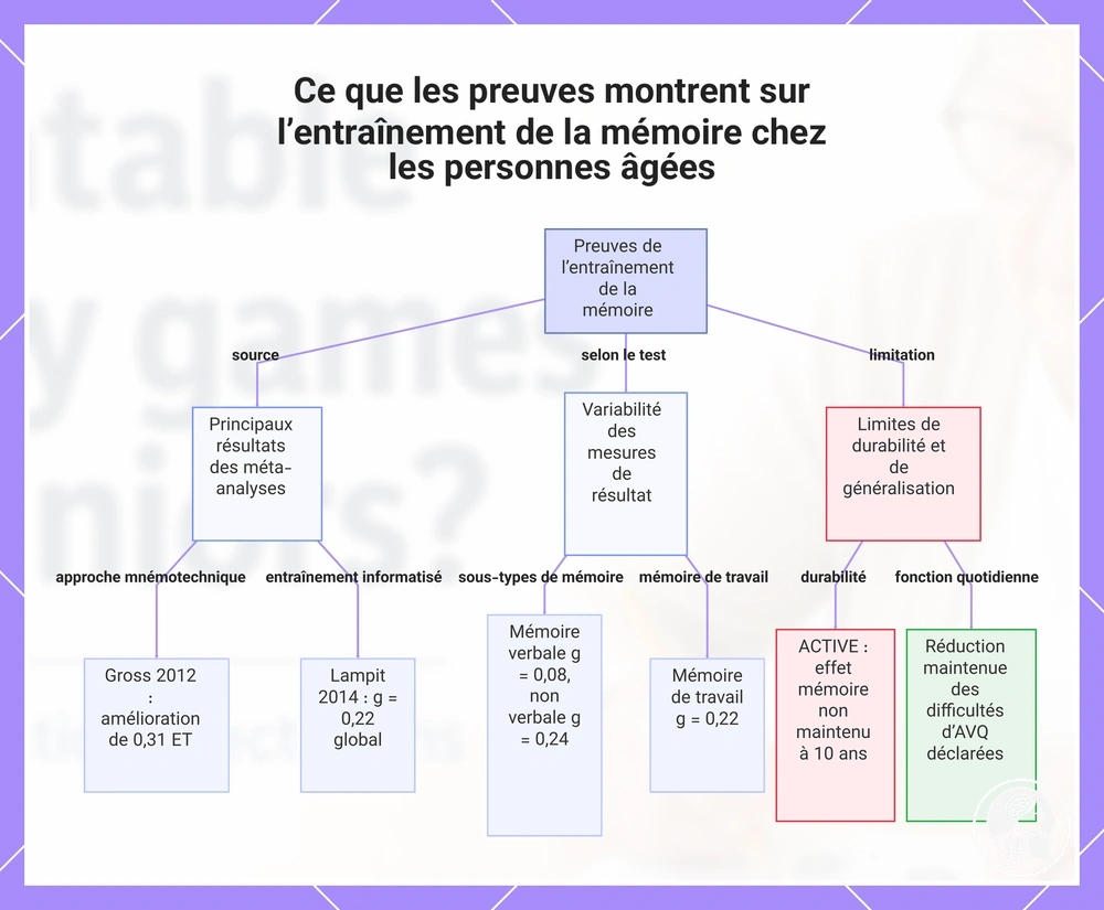 Ce que les preuves montrent sur l’entraînement de la mémoire chez les personnes âgées