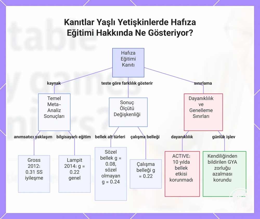 Kanıtlar Yaşlı Yetişkinlerde Hafıza Eğitimi Hakkında Ne Gösteriyor?